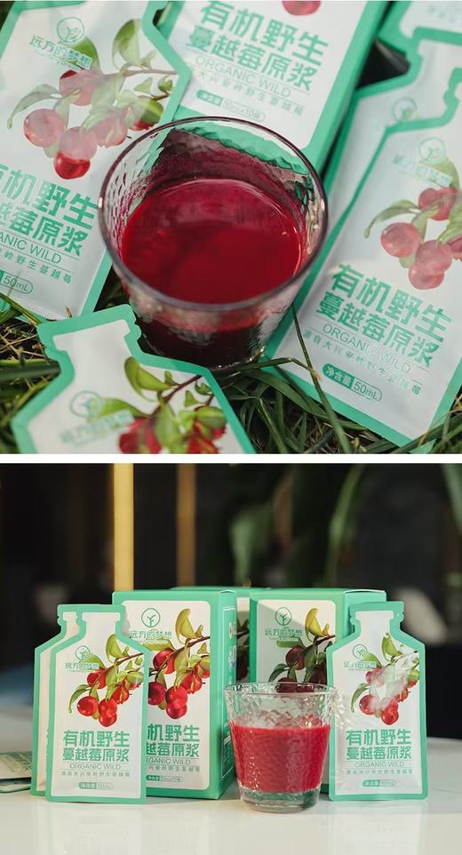 （50ml*10袋）远方的梦想有机野生蔓越莓原浆 商品图8