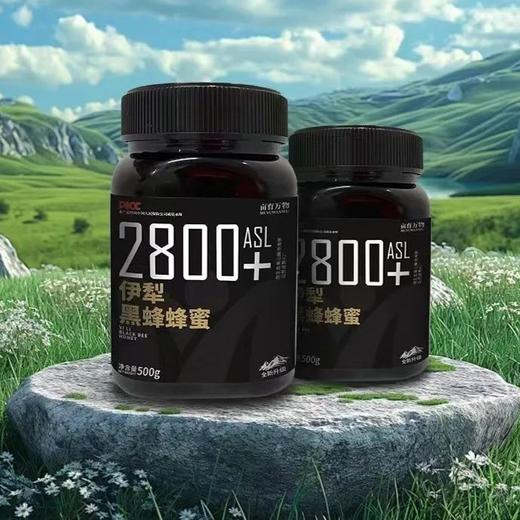 【来自新疆的天然好蜜】黑蜂蜂蜜 采集海拔2800米天山纯净蜜源区,200多种珍贵野生蜜源植物 商品图0