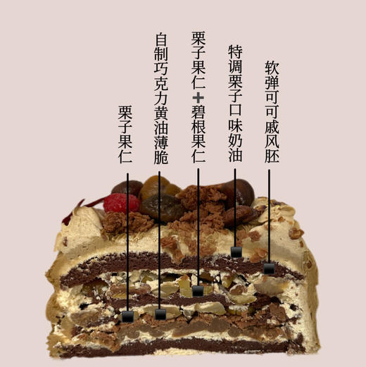 一颗栗子3.0 商品图1