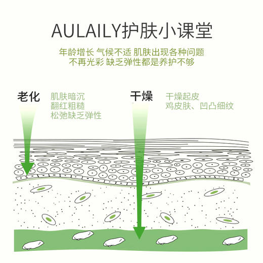 （新品限时优惠）广州药妆正品澳莱莉牛油果身体乳美肤防干裂清香身体乳 商品图1