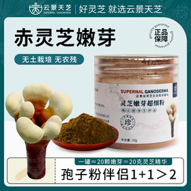 云景天芝灵芝嫩芽超细粉20g