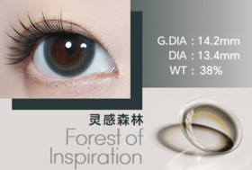 绿色-灵感森林（半年抛）