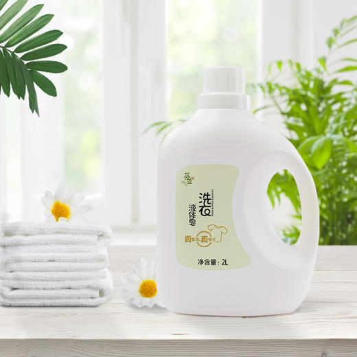【特惠7.4折】芬亚 洗衣液 温和去渍不伤衣物 2L/桶 商品图1