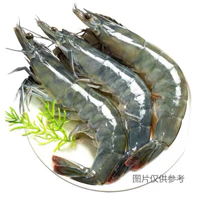 【限时特价】基围虾 基尾虾子 现货大虾约500g/斤