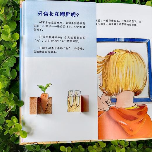 换牙书 商品图3