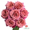 外购单头玫瑰-调香师10枝一扎 商品缩略图1