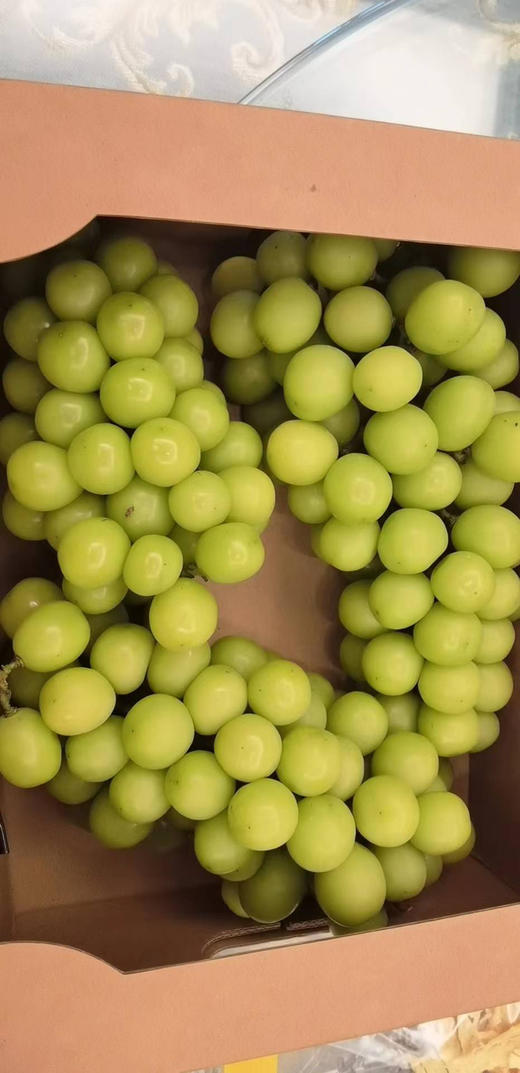 有机阳光玫瑰，入口的那一刻满足感和愉悦是一颗无籽且自带玫瑰香气的阳光玫瑰葡萄所带来的☀️ 串形很漂亮的阳光玫瑰，颗颗饱满！皮薄不用吐，也不涩，脆脆的果肉迸发出迷人的玫瑰花香和甜！3斤/份 商品图4