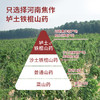 【怀生堂】垆土怀山粉精选河南焦作垆土铁棍山药，复配酶解燕麦、奇亚籽， 古法麸炒自然香 早晚一杯效果更好，每袋360克（30条装） 商品缩略图2