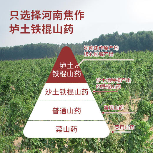 【怀生堂】垆土怀山粉精选河南焦作垆土铁棍山药，复配酶解燕麦、奇亚籽， 古法麸炒自然香 早晚一杯效果更好，每袋360克（30条装） 商品图2