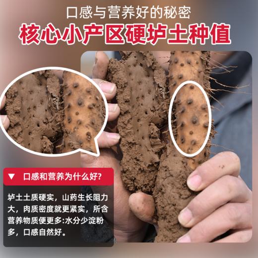 京东快递【现挖现发】焦作温县垆土铁棍山药 2025新鲜头茬原产地直发 赠削皮刀/一次性手套 商品图3