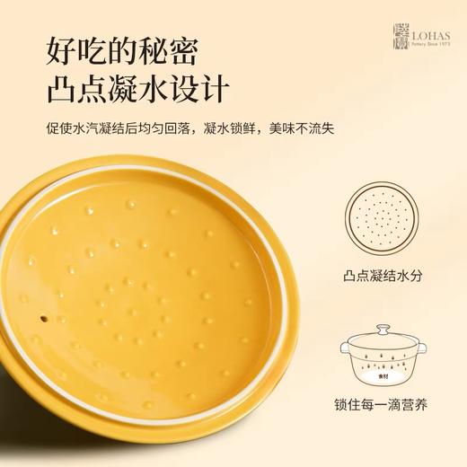 陆宝彩色陶瓷锅煮饭煲汤家用节能时尚单盖陶瓷锅砂锅送礼 洋风乐彩锅 商品图2
