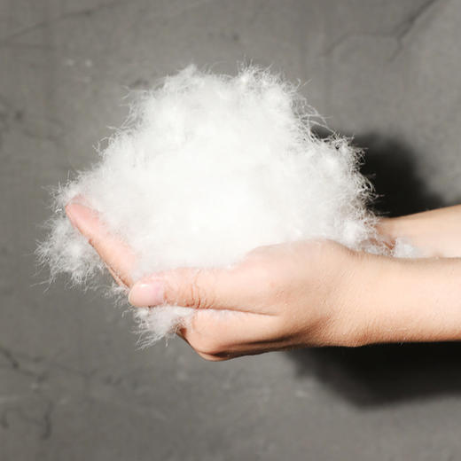 【高端羽绒被】95白鹅绒冬被 五*酒店被子被芯 冬季保暖加厚双人鹅绒被 商品图2