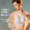 轻奢女王调整型文胸 无钢圈全罩杯超薄杯 通透蕾丝灵动刺绣 大胸显小 桑蚕丝里料抑菌滋养 商品缩略图0