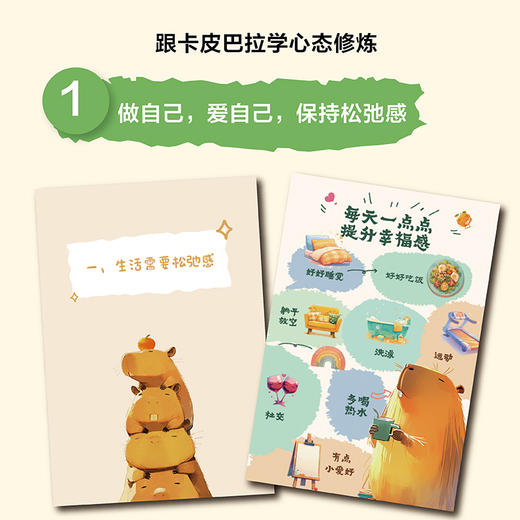 【积分】卡皮巴拉的自我修养 商品图1