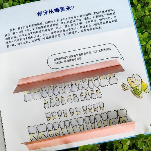 换牙书 商品图2