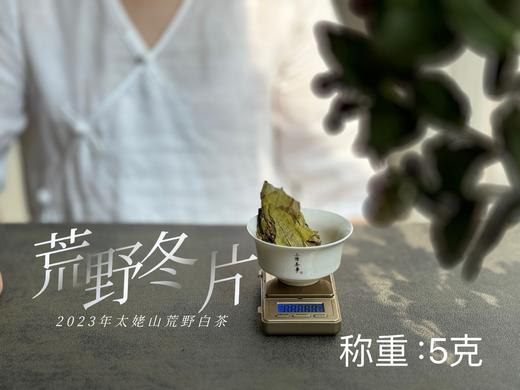 【珍藏级茶饼】2023荒野冬片饼，诞生在隆冬季节的冰沁汤水与深长竹叶香，每一饼，都藏着最深的冬（1饼收藏装） 商品图8