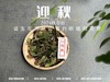【2024秋茶来了】2024迎秋，甜花香太浓郁了，太香甜了，汤水比往年更加稠滑（60克） 商品缩略图2