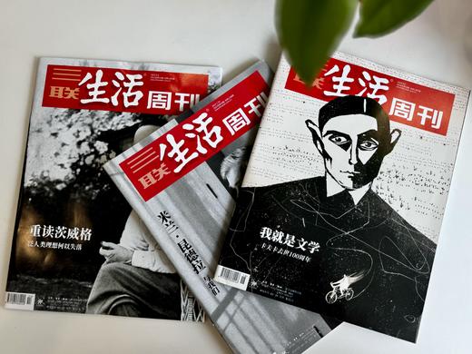 《三联生活周刊》2025全年预订（共52期）| 独家超值赠品：2本精选期刊+1本88元赠刊 商品图5