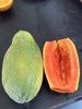 〔上海直发包邮01〕海南奶酪木瓜（树上熟） 商品缩略图2