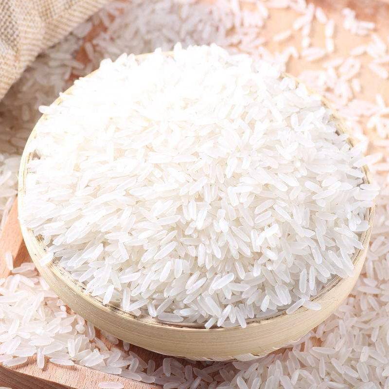 散湄河香餐饮香米 约500g/份