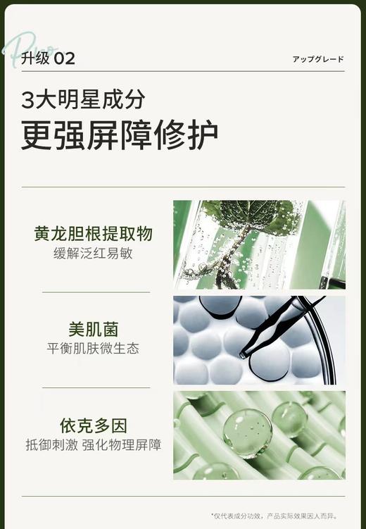 复活草 商品图10