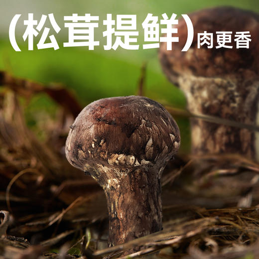 自由肉肉 黑猪肉小笼包 500g*袋 20个装  优选山林慢养300余天的黑猪，8小时老面发酵，肉馅饱满 松茸提鲜 商品图3