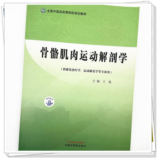 骨骼肌肉运动解剖学 王艳 主编 全国中医药高等院校规划教材 中国中医药出版社 书籍 商品图4