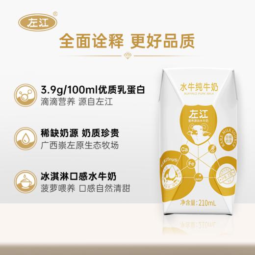 【自营】左江水牛纯牛奶210ml*10盒 商品图2