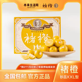 【11月初发货】褚橙5kg(珍品果 XXL型)