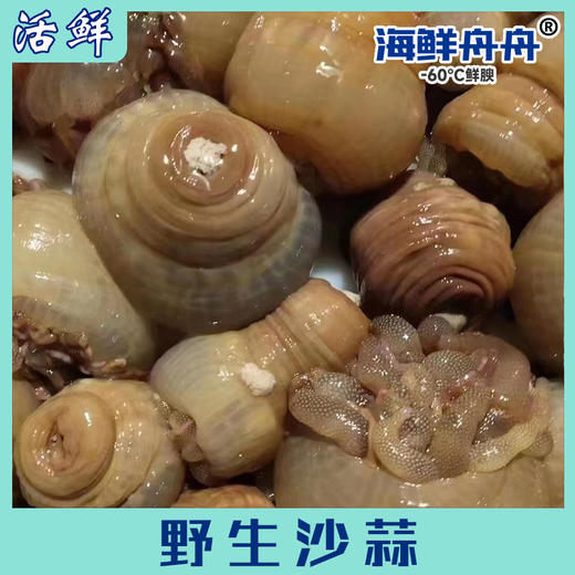 野生沙蒜（活） 商品图0