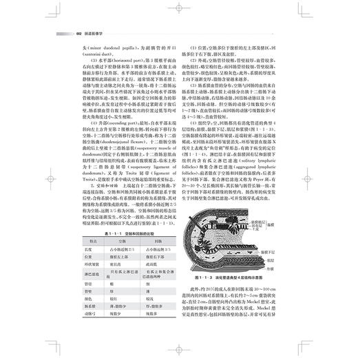 肠道影像学 小肠的解剖 组织发生和生理 小肠疾病的诊断流程 结肠疾病的检查方法 主编 缪飞 9787547867846 上海科学技术出版社 商品图4