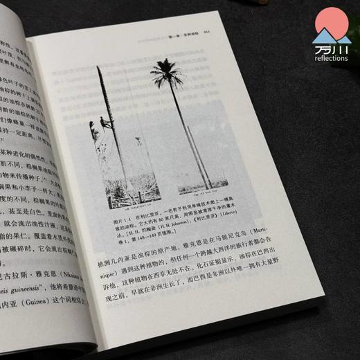 棕榈油的全球史 : 从奴隶船到购物篮 商品图4