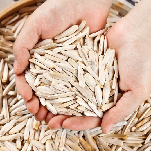 新疆阿克苏原味马牙瓜子 尖下巴牙签瓜子 马牙长白瓜子AWJM 商品图4