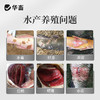 华畜硫醚沙星水产养殖水霉病鱼塘腐皮白毛出血烂尾烂身水霉净杀菌 商品缩略图2