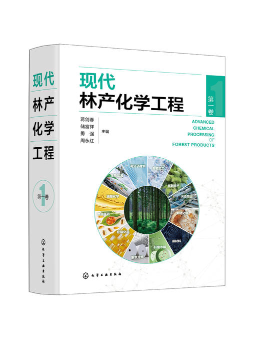 现代林产化学工程（第一卷） 商品图0