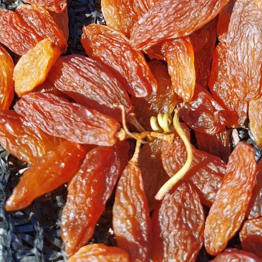 特级红香妃王葡萄干AWJM 商品图4