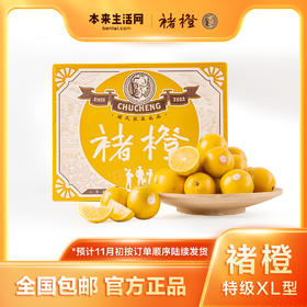 【11月初发货】褚橙5kg(特级果 XL型)