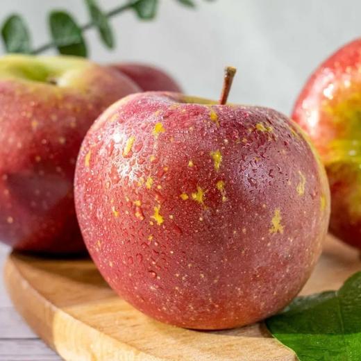 【云南昭通丑苹果】京东到家 香脆可口 清甜脆爽 果香浓郁 酸甜适中 细滑多汁  4种规格任选 商品图9