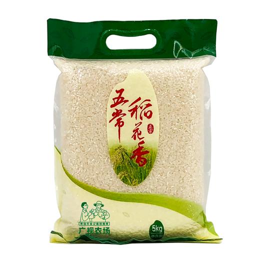 五常稻花香大米10斤 产地直发 商品图1