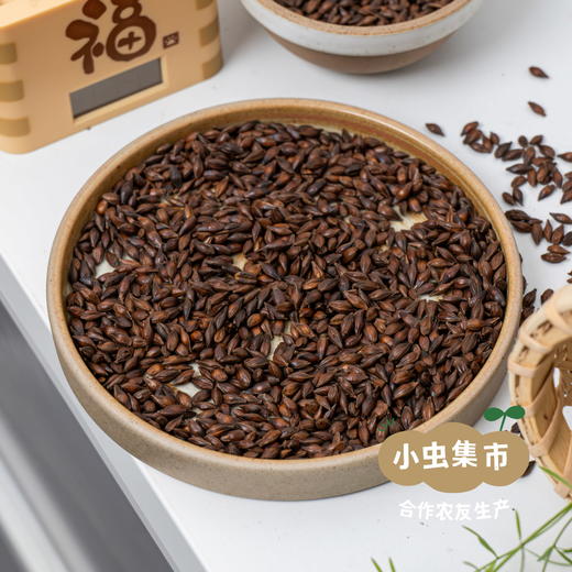 生态大麦茶 350g /袋 | 合作农友生产，产自陕西咸阳，生产者：大黑 ＆【公平贸易农人定价】 商品图5