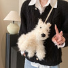 【秋冬新款，超萌毛绒公仔包包】高地新款毛绒玩具小狗公仔，柔软舒适内部容量大，可爱卡通玩偶斜挎包礼物手提QQ新年礼盒年货礼盒 商品缩略图1
