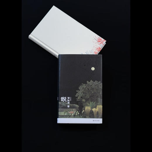 蜕（《亚洲周刊》十大好书，马华女作家贺淑芳首部长篇小说） 商品图1