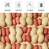 花生500g/袋 商品缩略图1