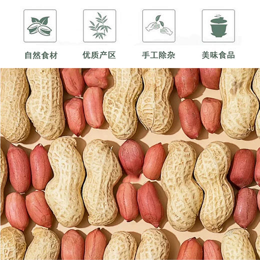 花生500g/袋 商品图1
