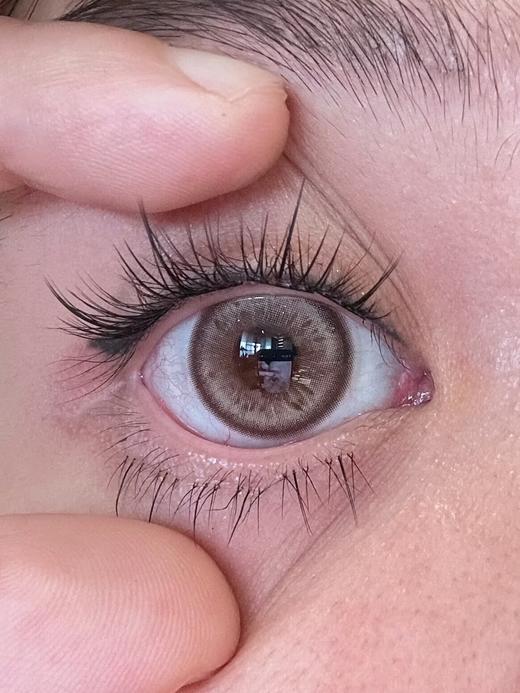Aimilens半年抛美瞳 虹膜棕 14.2mm 商品图0