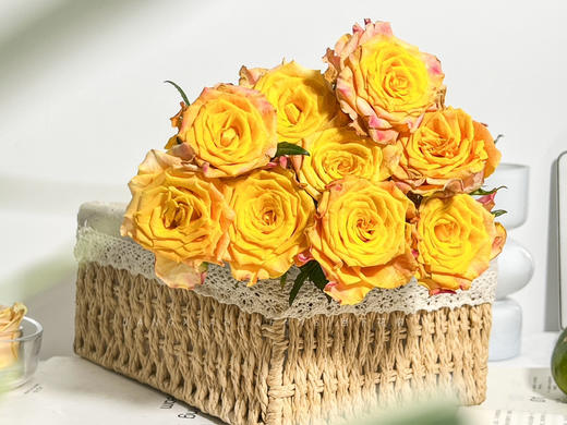 【金色海岸玫瑰.第二份减10元】10支/份 长约60-65cm 商品图13