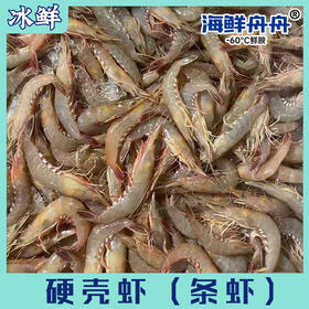 硬壳虾（条虾）