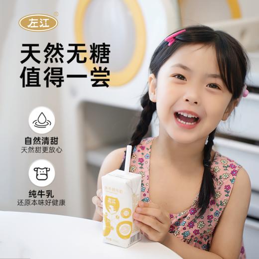 【自营】左江水牛纯牛奶210ml*10盒 商品图3