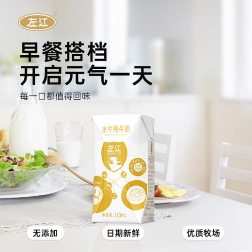【自营】左江水牛纯牛奶210ml*10盒 商品图4