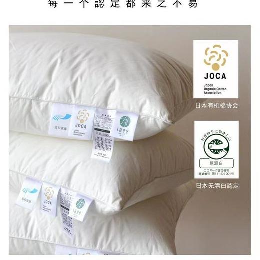 1899酒店枕芯【一对装！】外贸原单！ 商品图3